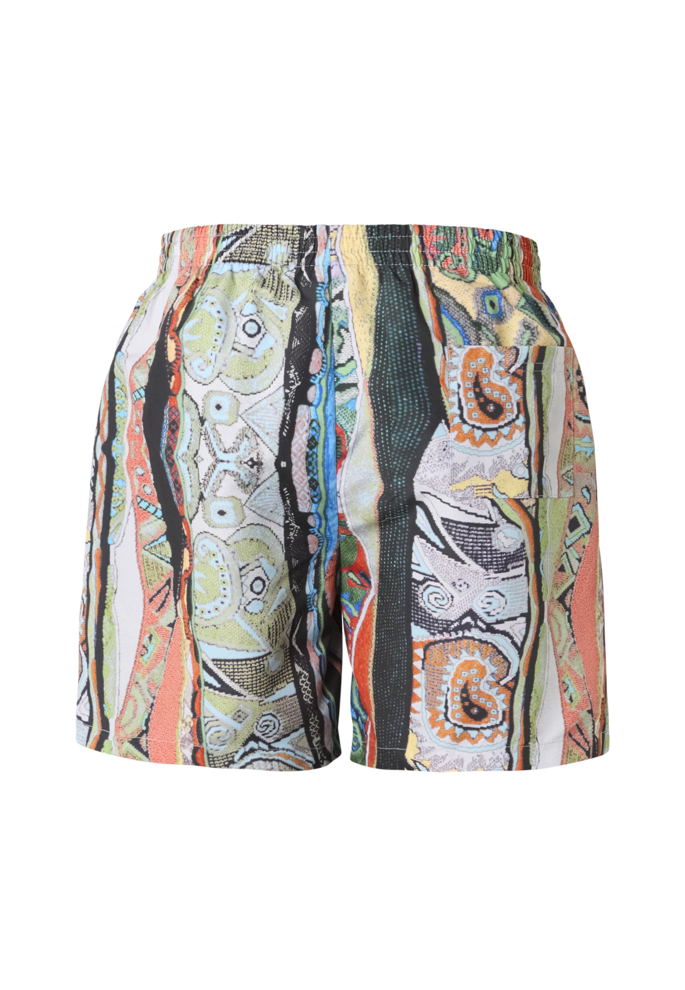 Colucci Swimming shorts 'Signature' in Mixed colours