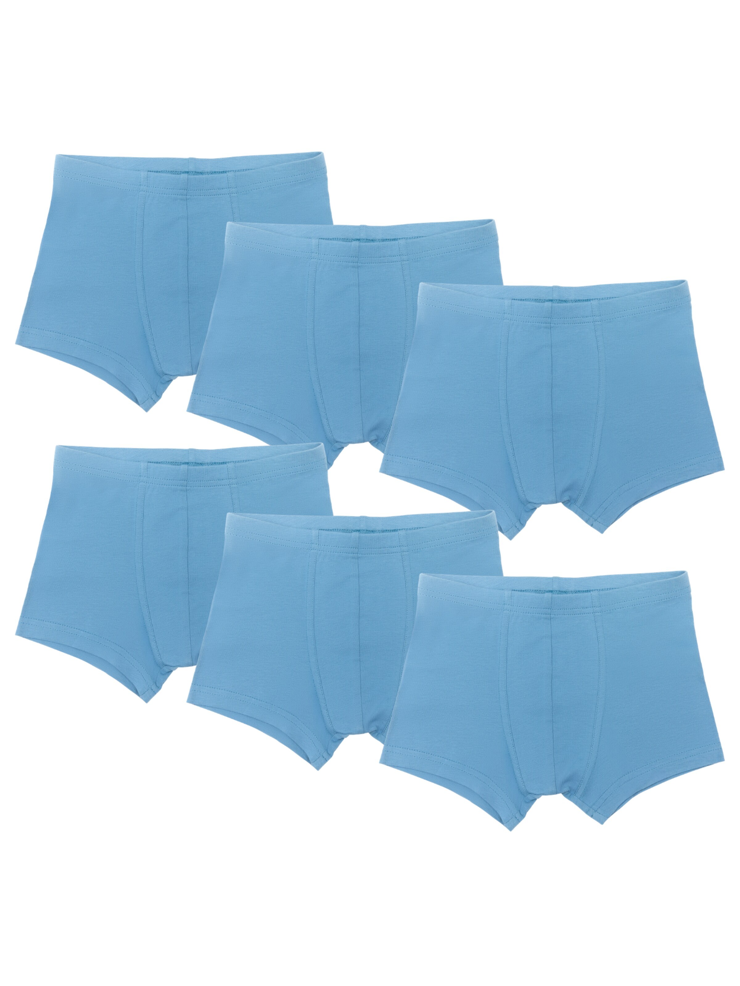 Albero Natur Underpants in Blue: front