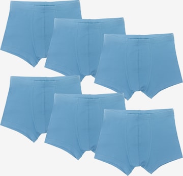 Albero Natur Underpants in Blue: front