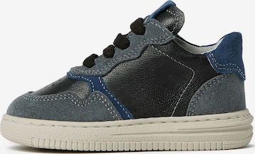 Baskets Nero Giardini en gris : devant