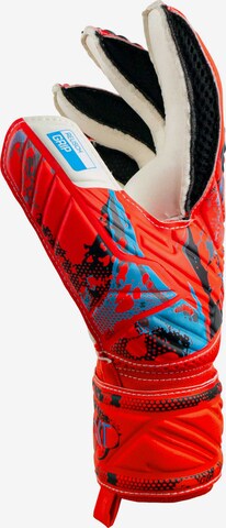 REUSCH Athletic Gloves 'Attrakt Grip' in Red