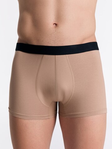 Albero Natur Boxer shorts 'Herren Trunkshorts aus Bio-Baumwolle' in Brown: front