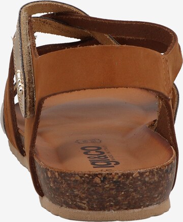 IGI&CO Sandals in Brown