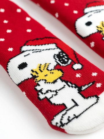 Snoopy & Die Peanuts Socken‌‌‌ in Rot