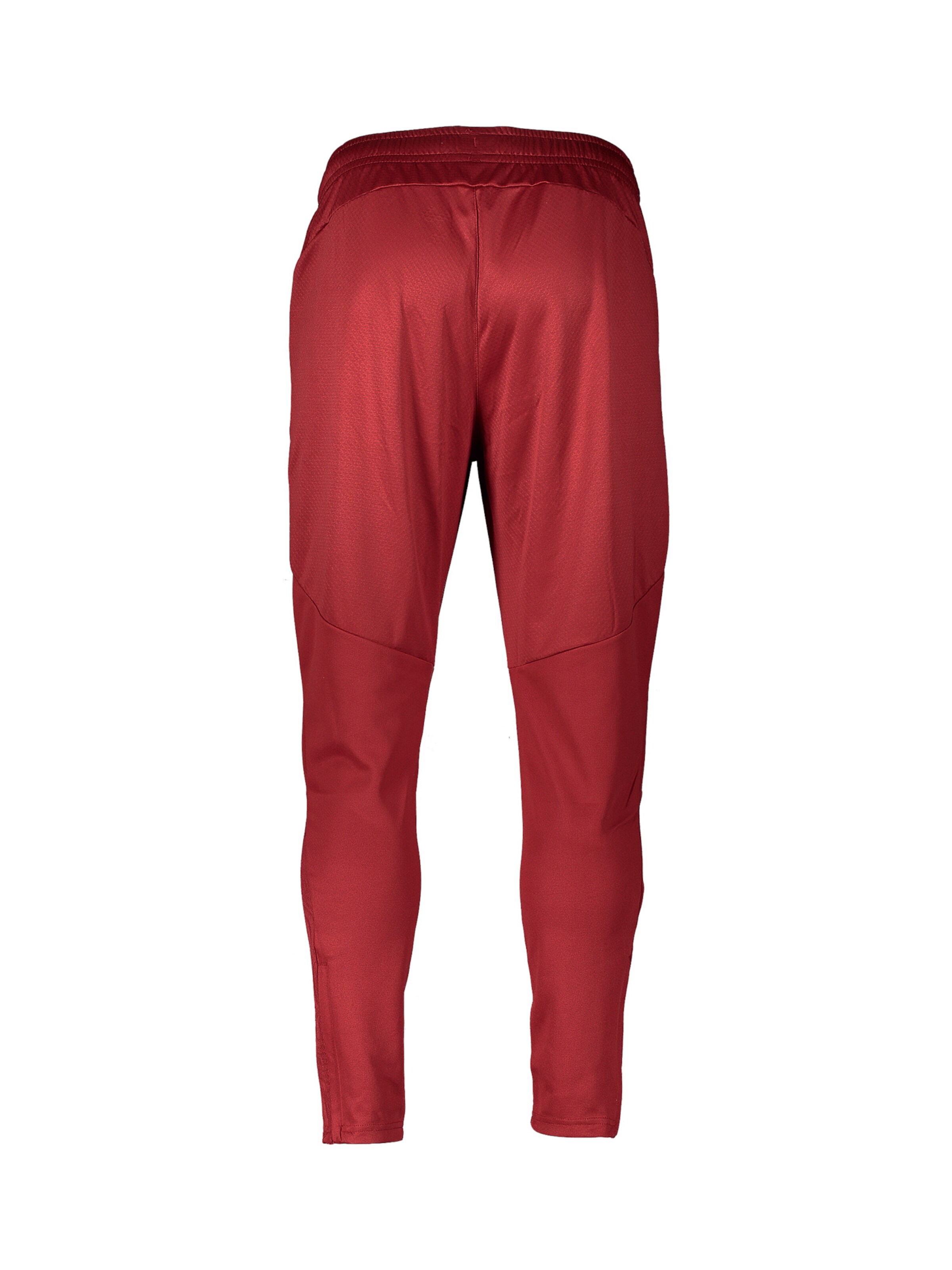 PUMA Regular Sporthose in Rot