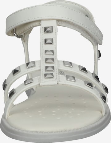 GEOX Sandals & Slippers in White