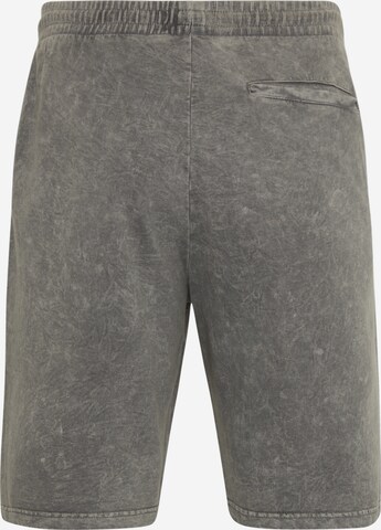 Denim Project Regular Shorts in Grau