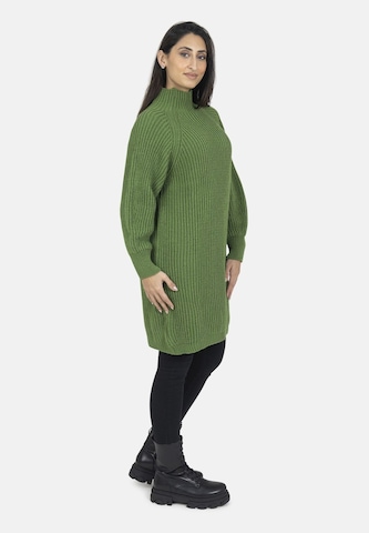 Elara Knit dress in Green