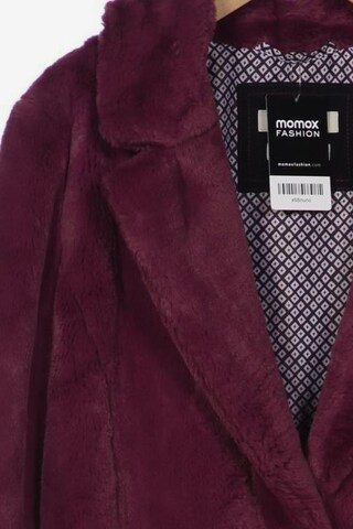 bugatti Jacket & Coat in M in Purple