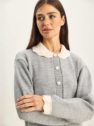 Bianco Lucci Strickjacke 'Strickjacken'‌‌‌‌‌‌‌‌‌ in Grau: Vorderseite