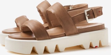 LLOYD Sandals in Beige: front