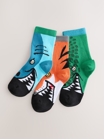 Next - Calcetines en azul