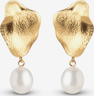 Boucles d'oreilles ENAMEL Copenhagen en or : devant