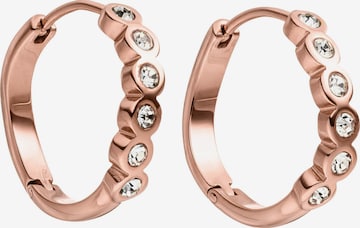 PURELEI Ohrringe 'Reef' in Gold: Vorderseite