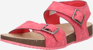 TIMBERLAND - Sandália 'Castle Island' em rosa: frente