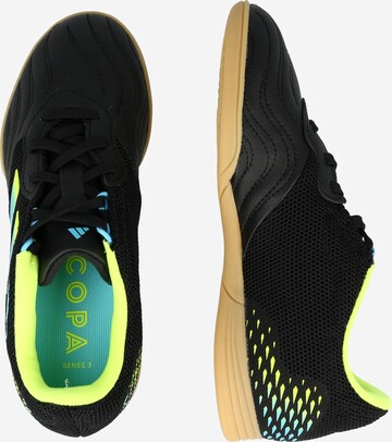 ADIDAS PERFORMANCE Sportsko 'Copa Sense.3 Indoor Sala' i svart