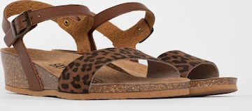 Bayton Sandal 'Wodonga' i brun