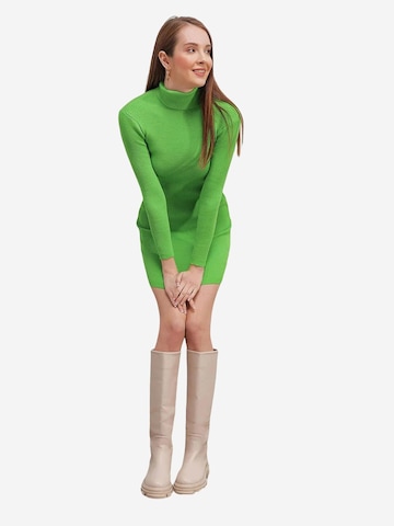 Bigdart Knit dress in Green