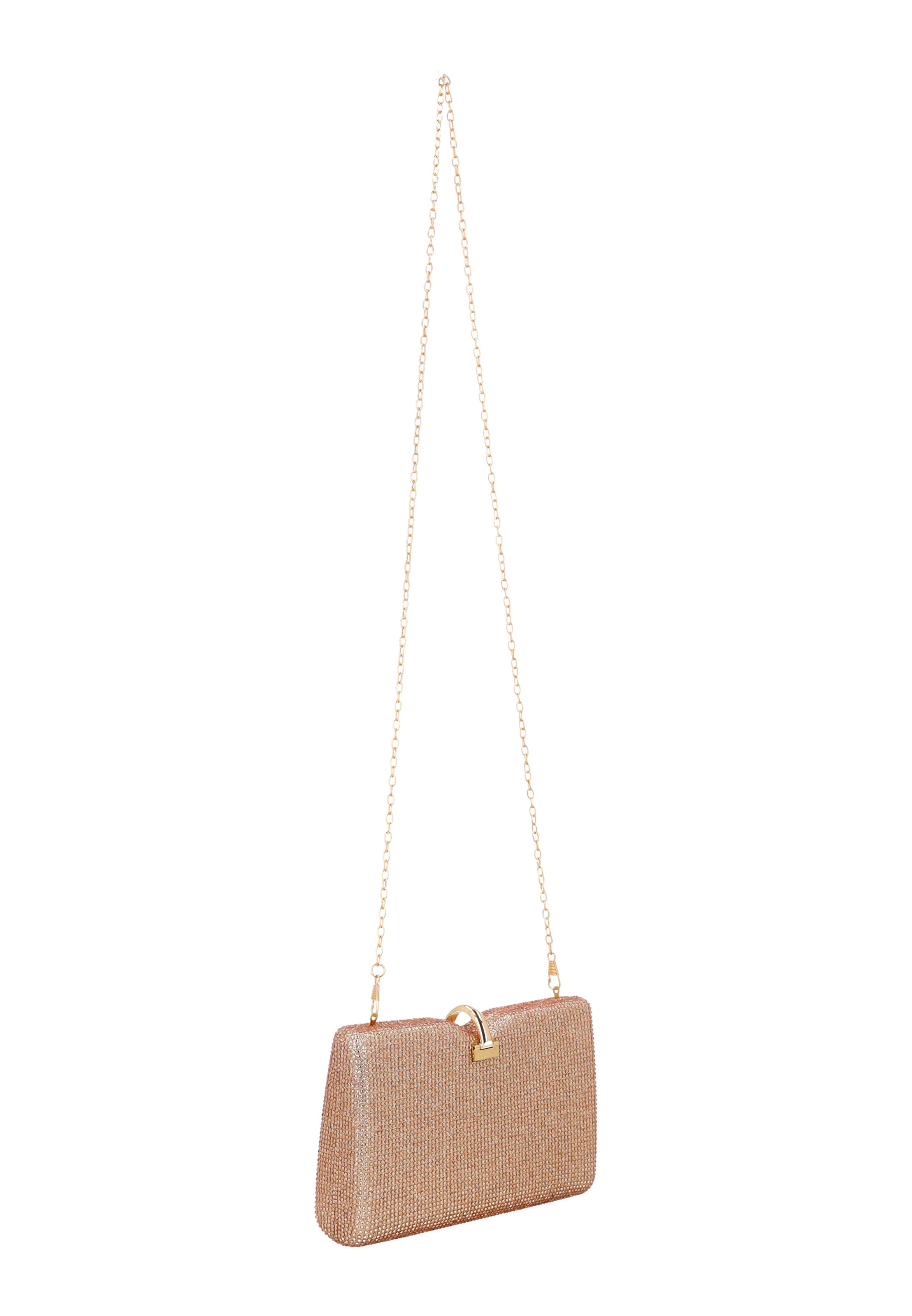 usha BLACK LABEL Clutch in Beige