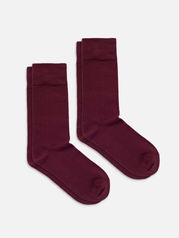 DillySocks Socks 'D-Compose 2er Set' in Red