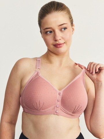 C&City Bralette Bra in Pink