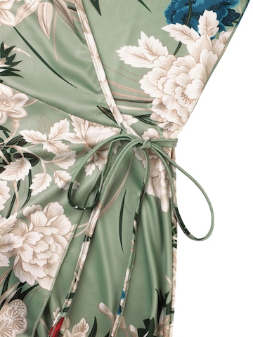 LapaPlus Kleid in Grün