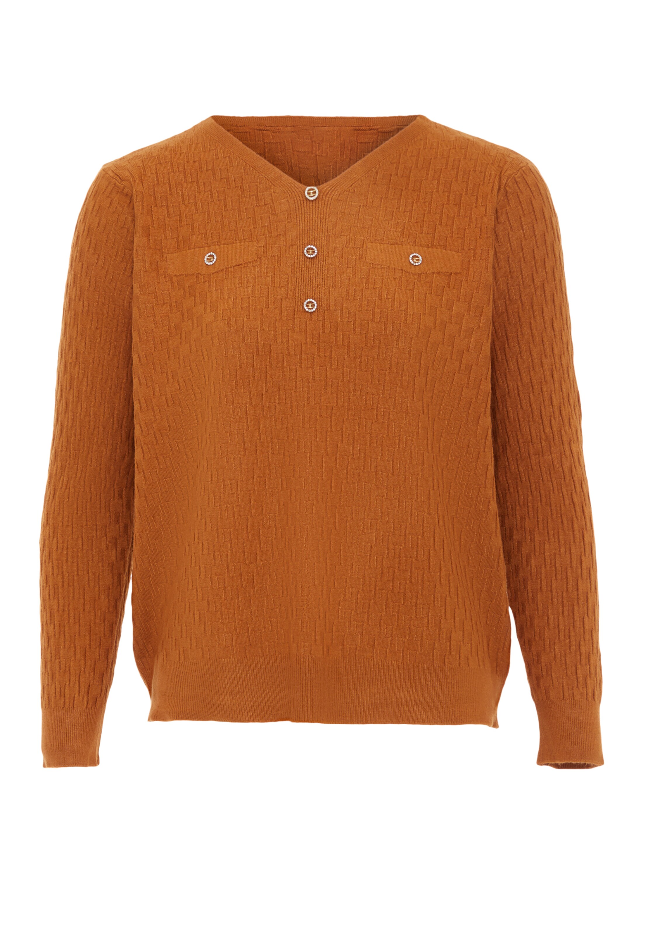 caneva Pullover in Braun: Vorderseite