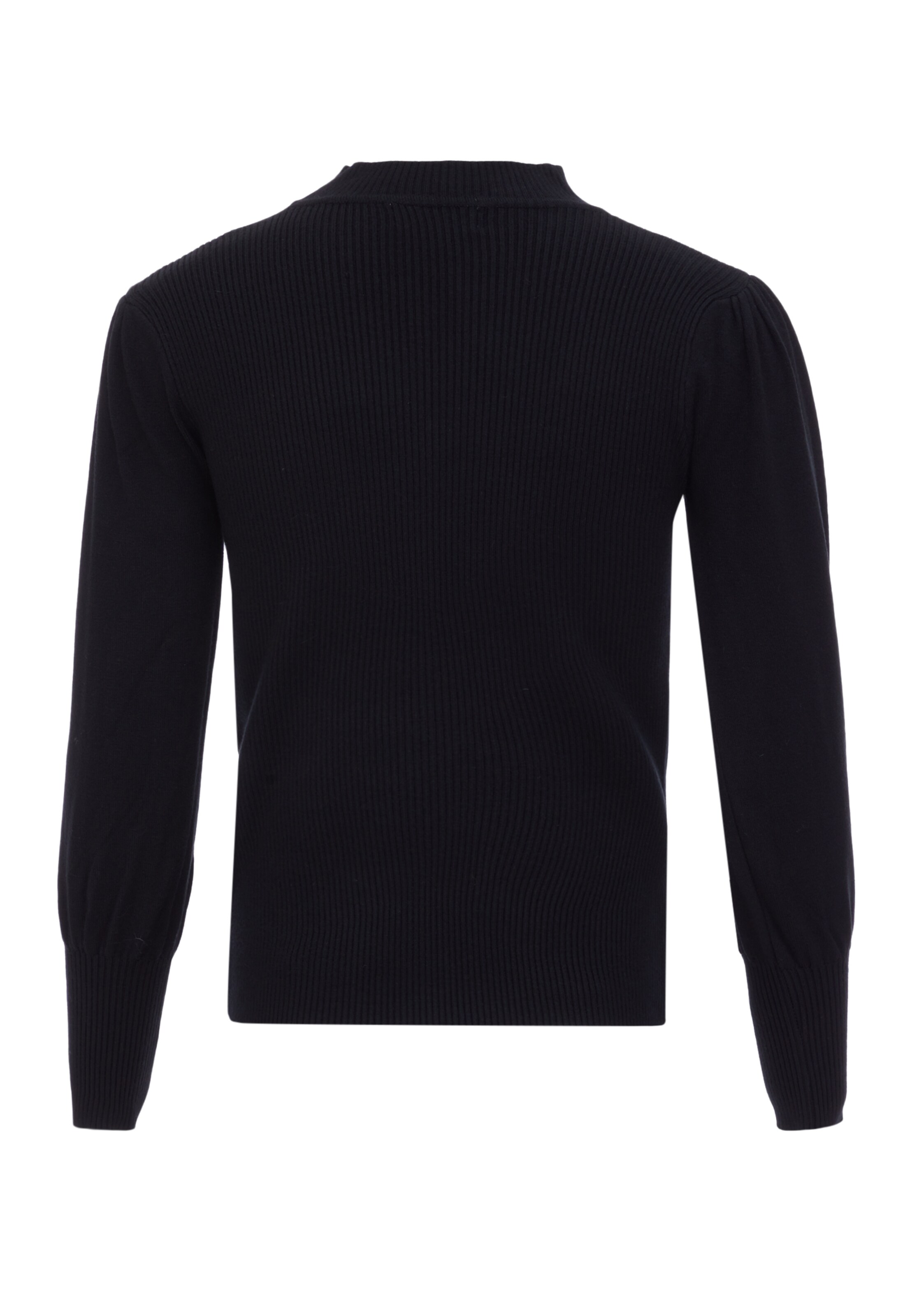 caneva Свитер в Черный