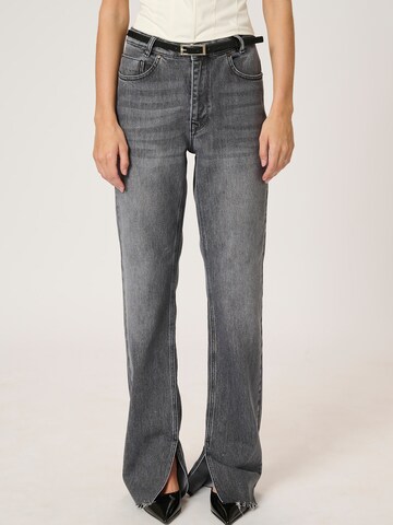 Regular Jean 'Daisy' My Essential Wardrobe en gris : devant