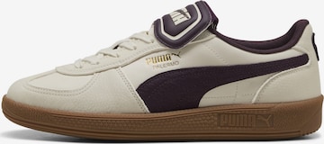 Baskets basses 'Palermo' PUMA en beige : devant