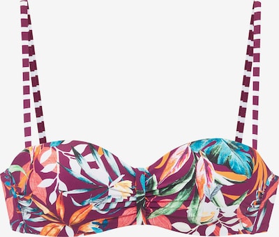 VENICE BEACH Bikini gornji dio veličine 75/E u akvamarin / tamno zelena / bordo / bijela, Pregled proizvoda
