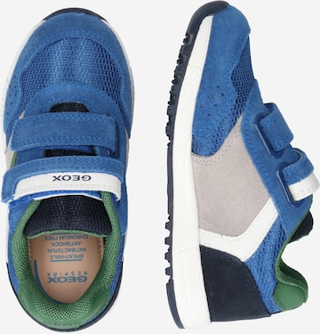 GEOX Sneakers 'ALBEN' in Blauw