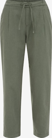 WE Fashionregular Hlače s naborima - zelena boja: prednji dio