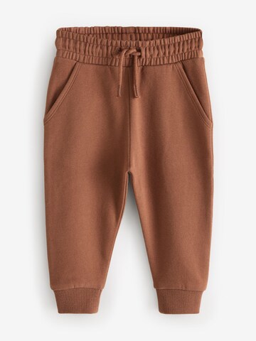 Tapered Pantaloni di Next in marrone