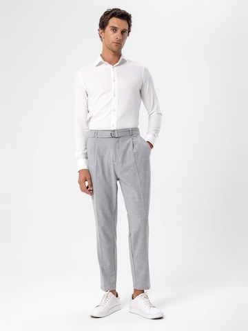 Antioch Конический (Tapered) Плиссированные брюки в Серый
