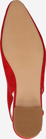 Dorothy Perkins Ballet Flats with Strap 'Ellery' in Red