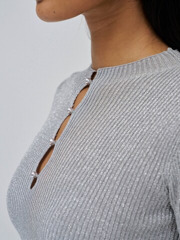 Salsa Jeans Sweater in Grey