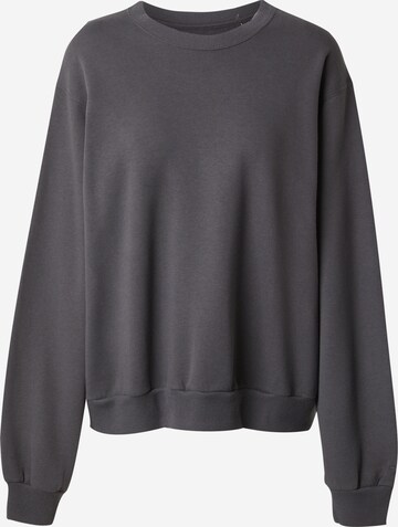 HOLLISTER Sweatshirt in Grau: predná strana