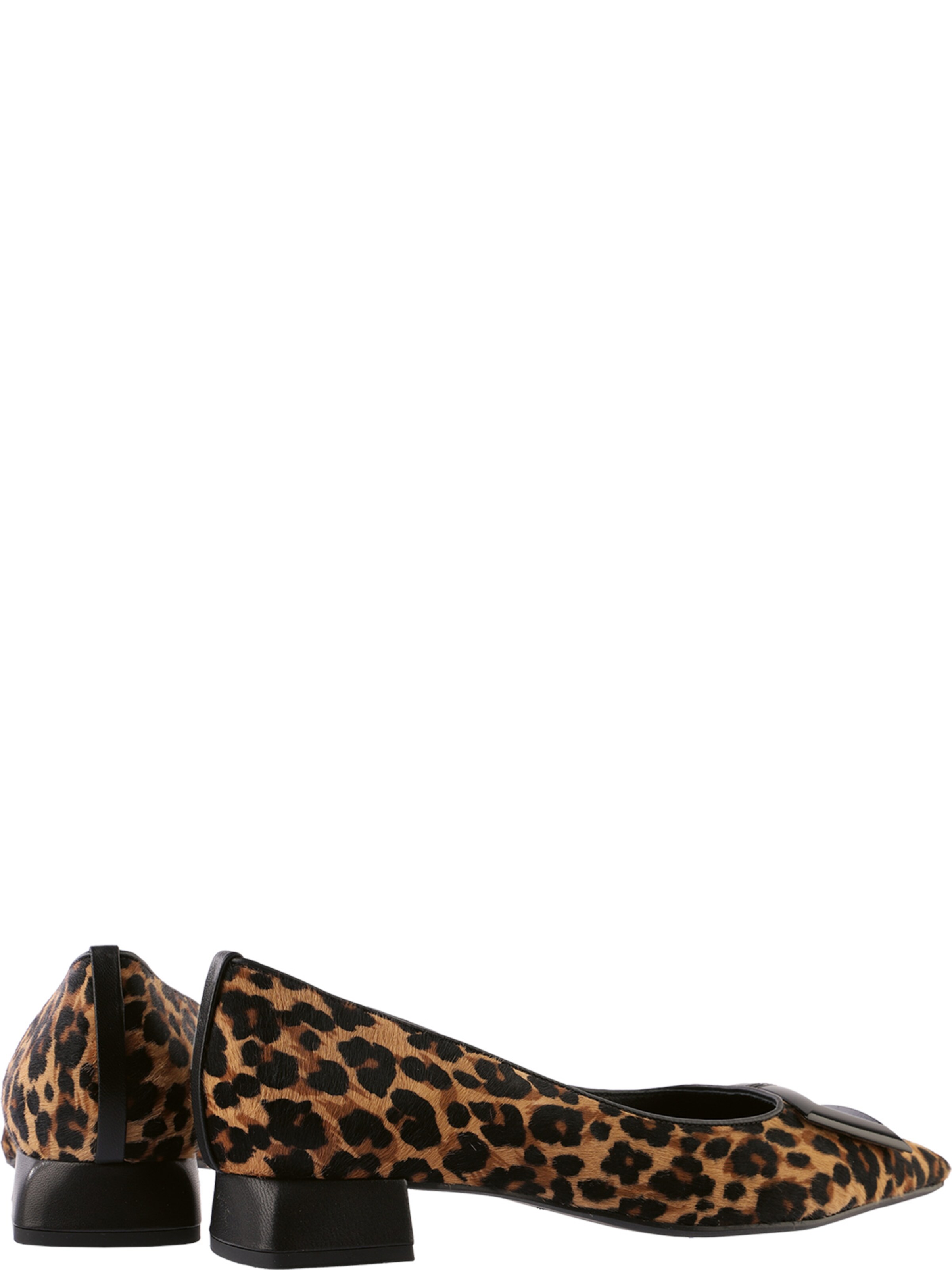 Högl Pumps 'Leo' in Bruin