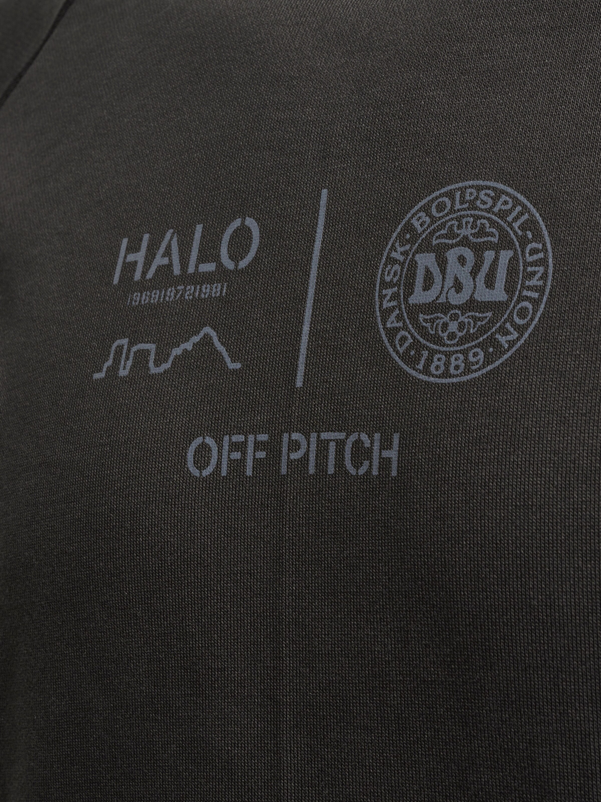 HALO Sweatshirt in Grey