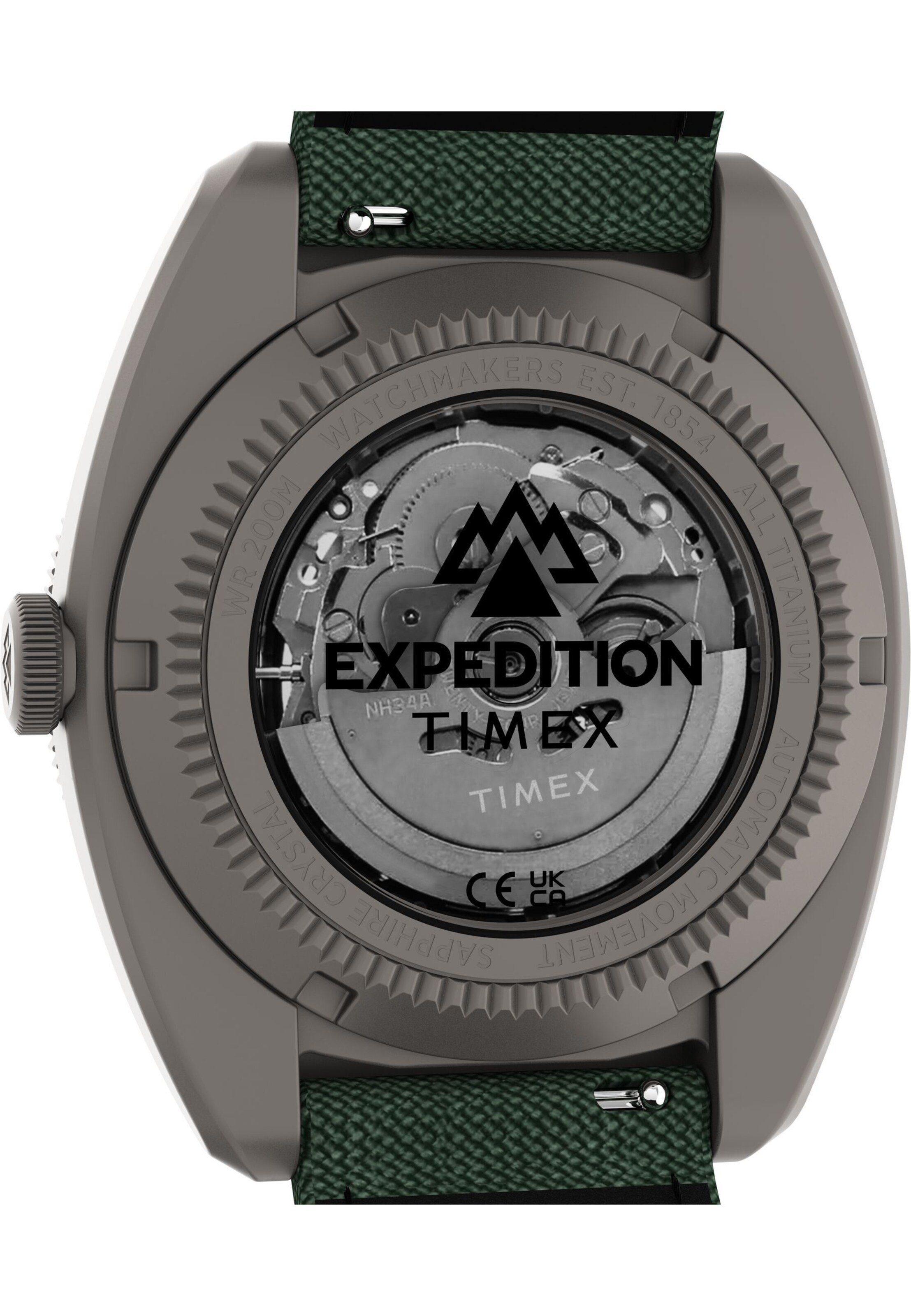 TIMEX Analogt ur i grøn