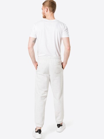 HOLLISTER Tapered Hose in Grau