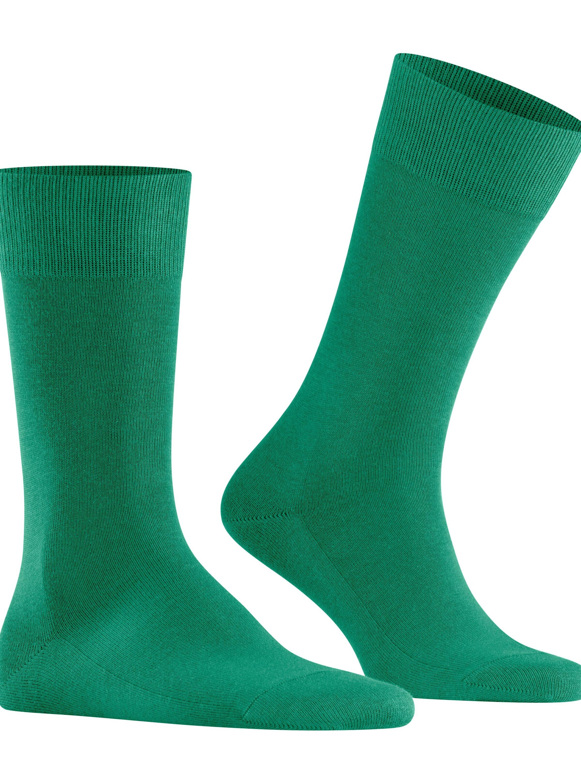 FALKE Socks 'Family' in Green: front