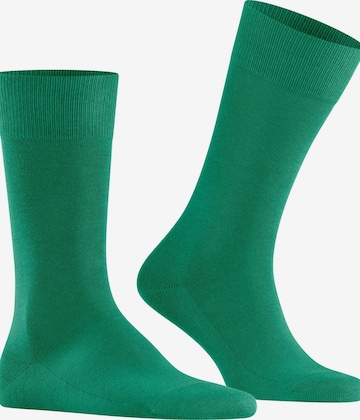 FALKE Socks 'Family' in Green: front