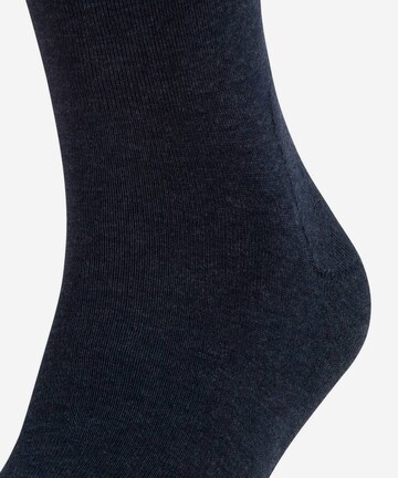 FALKE Sportsocken in Blau