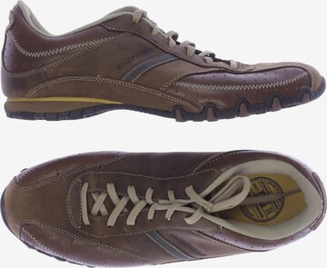 SKECHERS Sneakers & Trainers in 44 in Brown: front