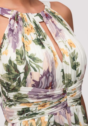 Robe de soirée 'LA-OM-DLR346' Ombre en blanc