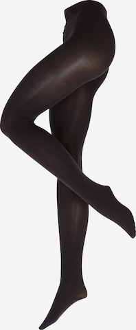 juoda Swedish Stockings Permatomos pėdkelnės 'Lia': priekis