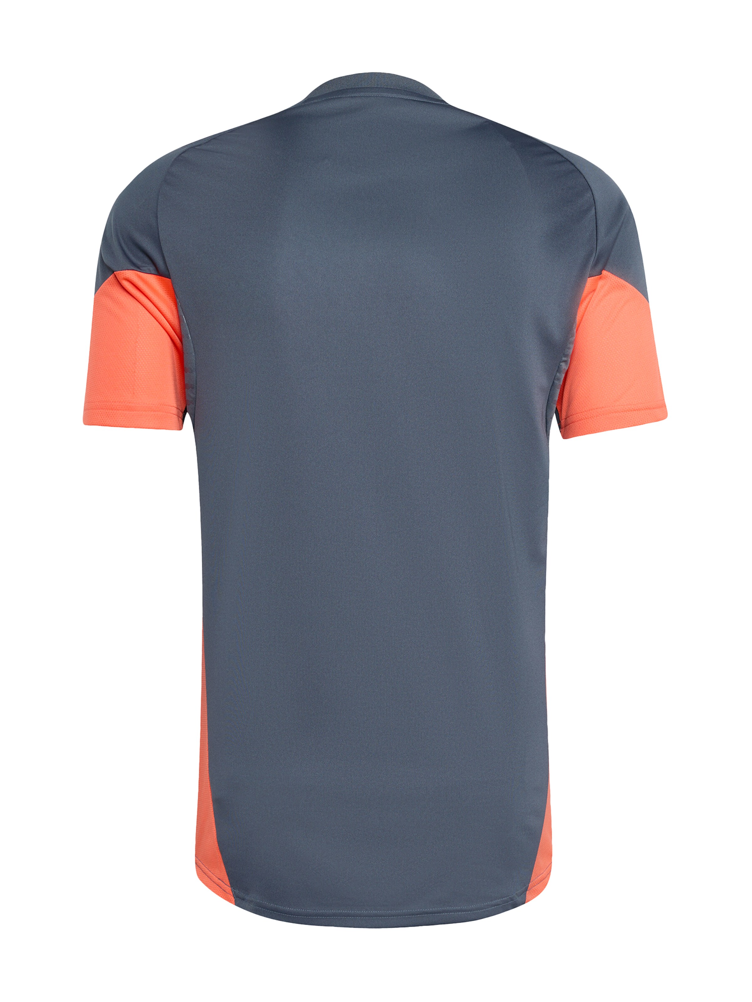 FC BAYERN MÜNCHEN Performance Shirt in Grey