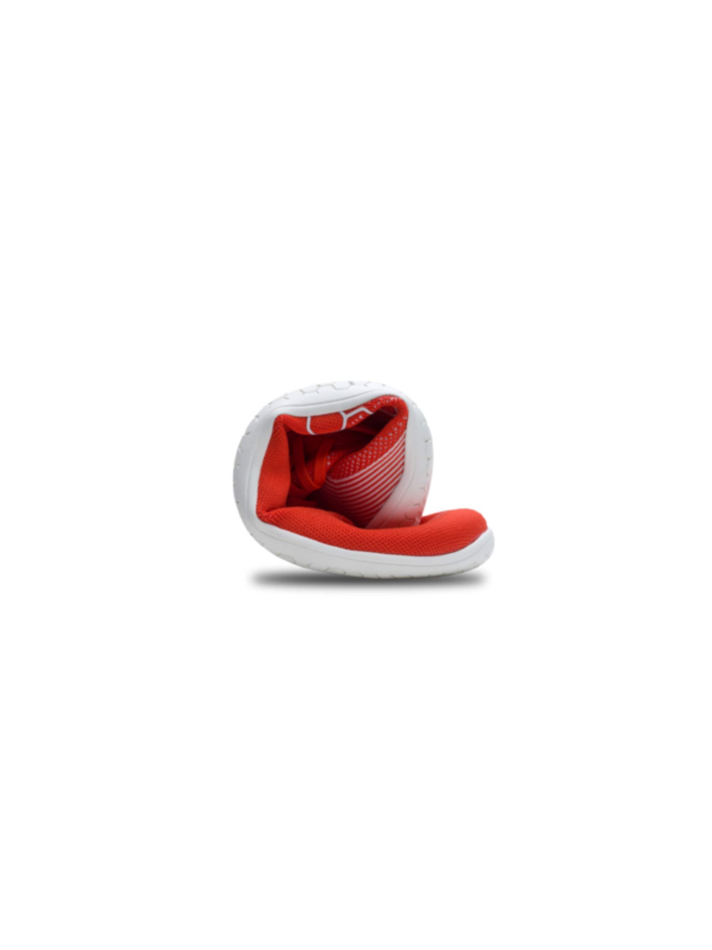 Scarpa bassa 'PRIMUS LITE KNIT' di Vivo Barefoot in rosso
